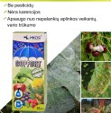 Pavasarinio purškimo rinkinys sodui - be pesticidų